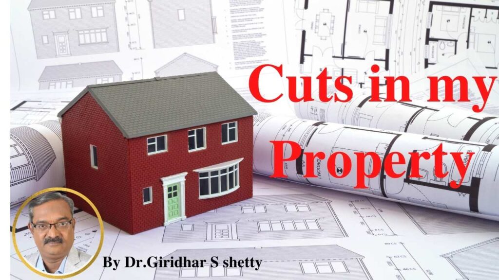 Cuts in my Property